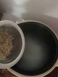红枣燕麦粥
