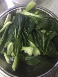 青菜豆腐