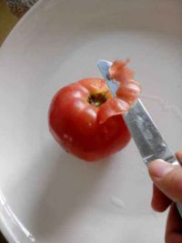 西红柿花