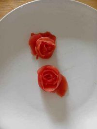 西红柿花