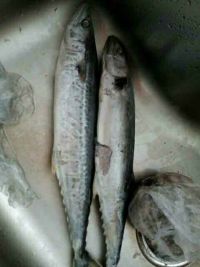 蔬菜蒸鱼丸