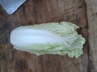 家常粉丝烧白菜