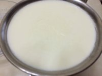 自制橘子酸奶