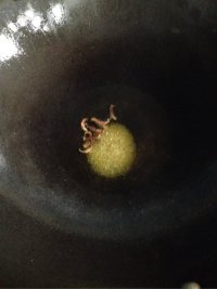 牛肉炒大蒜