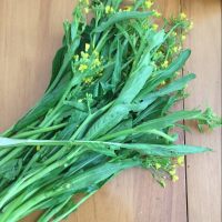 肉片菜心