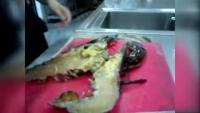 处理海虾
