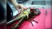 处理海虾