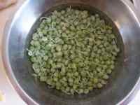 番茄豌豆