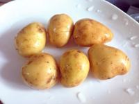 排骨炖土豆