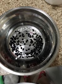 黑豆浆