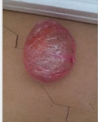 自制咸鸡蛋