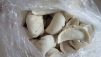 生煎韭菜饺子