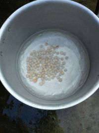 虾仁豆腐汤
