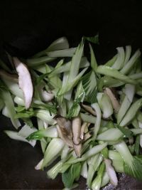 香菇青菜肉末面