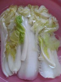 羊肉白菜水饺