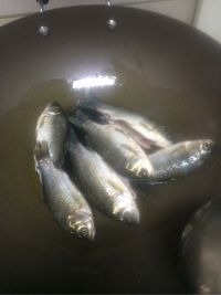 鲫鱼汤