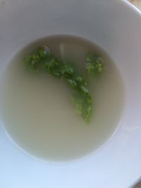 鲫鱼汤