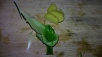 胡萝卜木耳大骨粥
