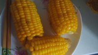 早餐：煮玉米