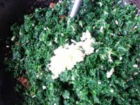 荠菜饺子