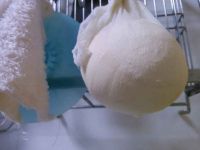 豆腐圆