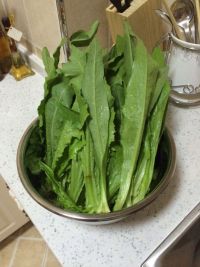 蒜蓉油麦菜