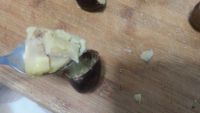 栗子豆奶