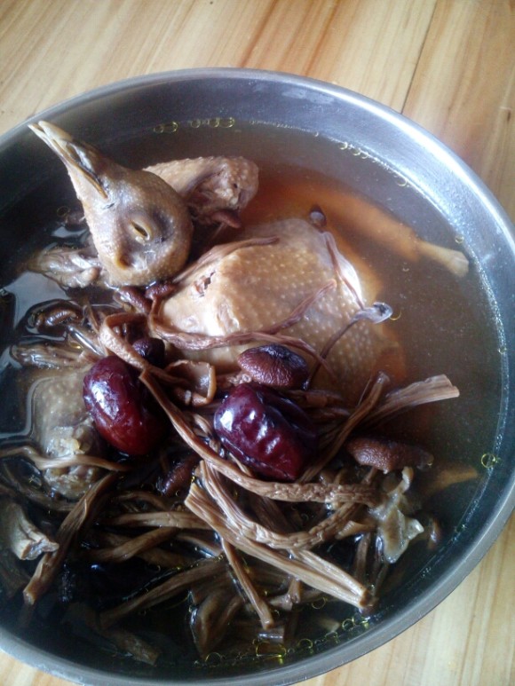 茶树菇炖鸽子汤