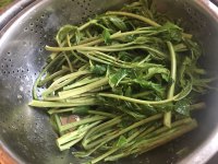 香椿酱