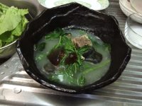 骨头汤浸桑叶苗