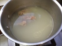 骨头汤浸桑叶苗