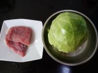 瘦肉片炒圆白菜