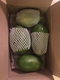 木瓜椰奶冻