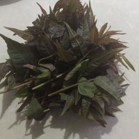 香椿芽拌豆腐