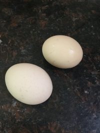 菜椒胡萝卜炒米粉