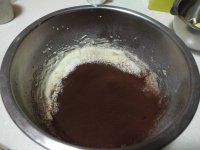 可可味罗马盾牌饼干