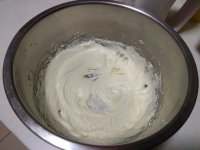 可可味罗马盾牌饼干