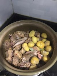 自创的鹅肉煲