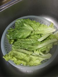 蚝油生菜