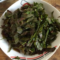 香椿芽炒鸡蛋