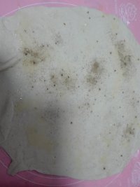 辣椒火腿烤饼