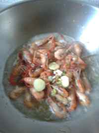 盐水虾