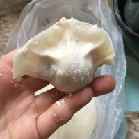 猪肉白菜蒸饺