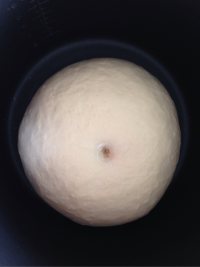 原味哈斯