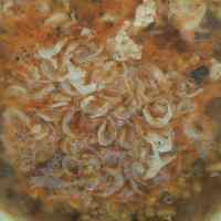 香菇肉末豌豆粉