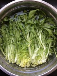 凉拌苦菊