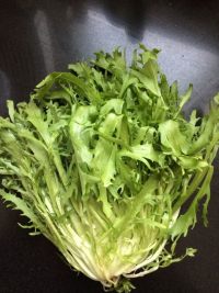 凉拌苦菊