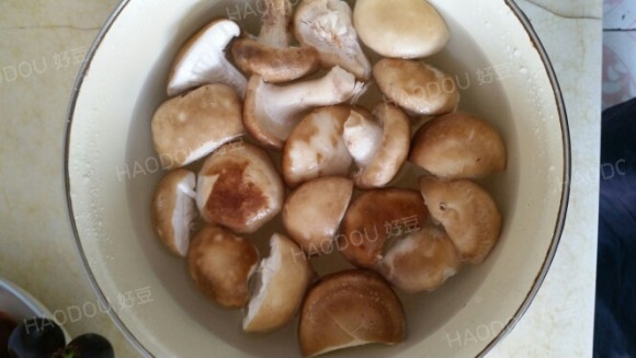 鸡腿肉炖蘑菇粉条