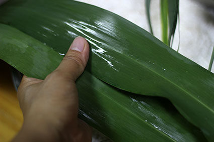 油煎蛋黄鲜肉粽