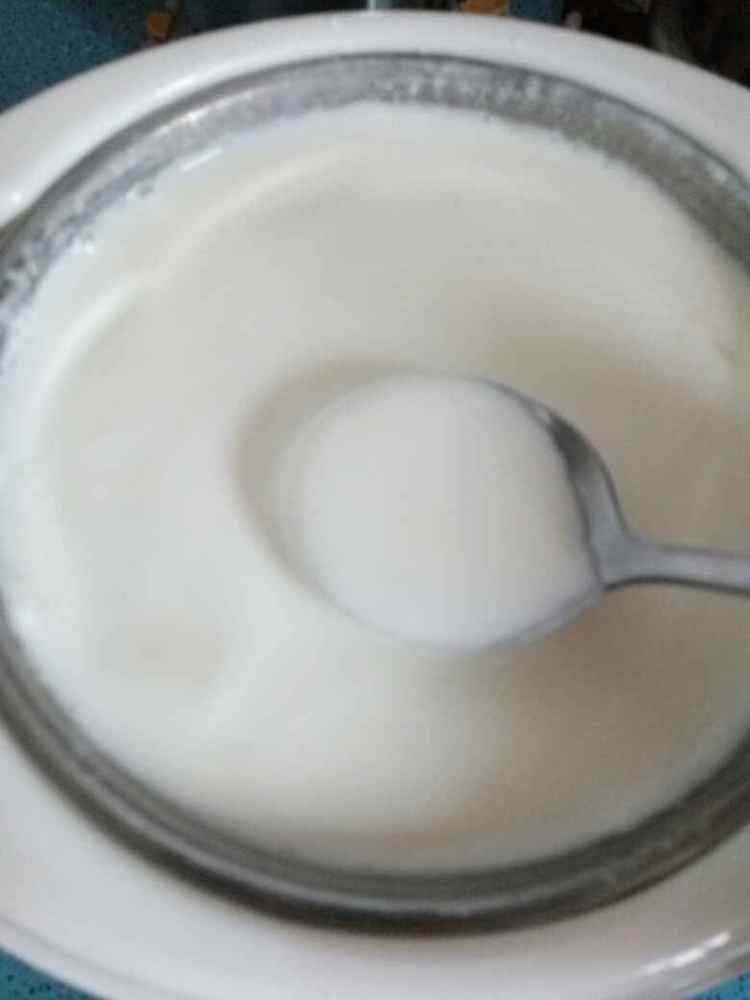自制美味酸奶